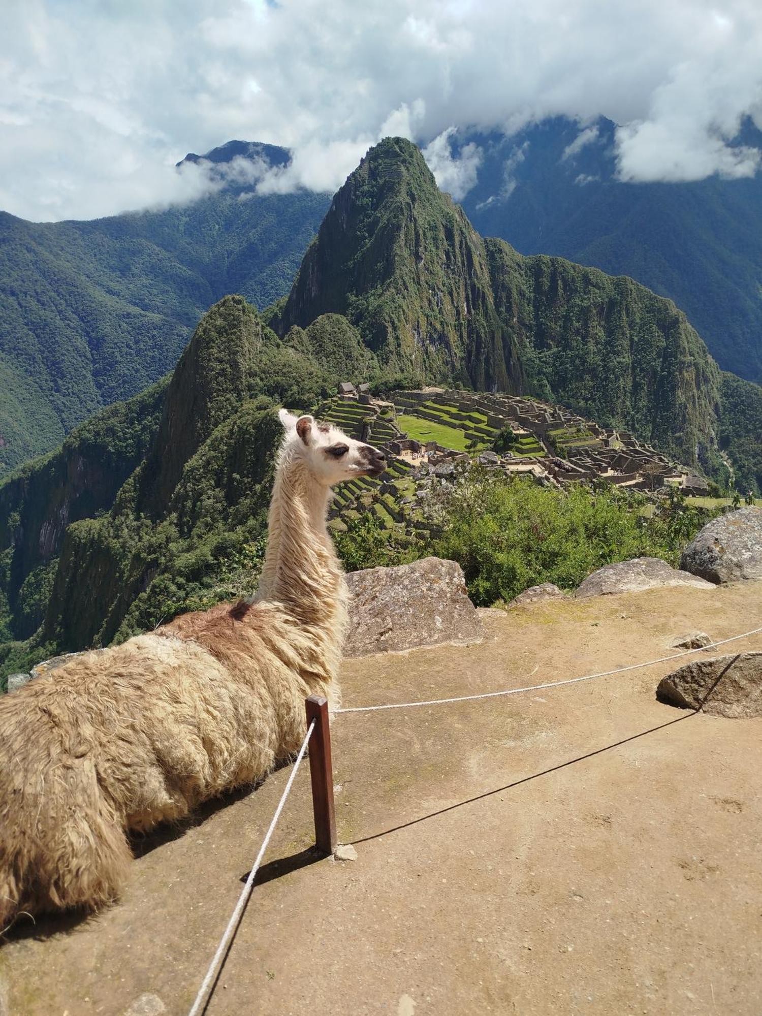 Picos House Hotel Machu Picchu Exterior photo