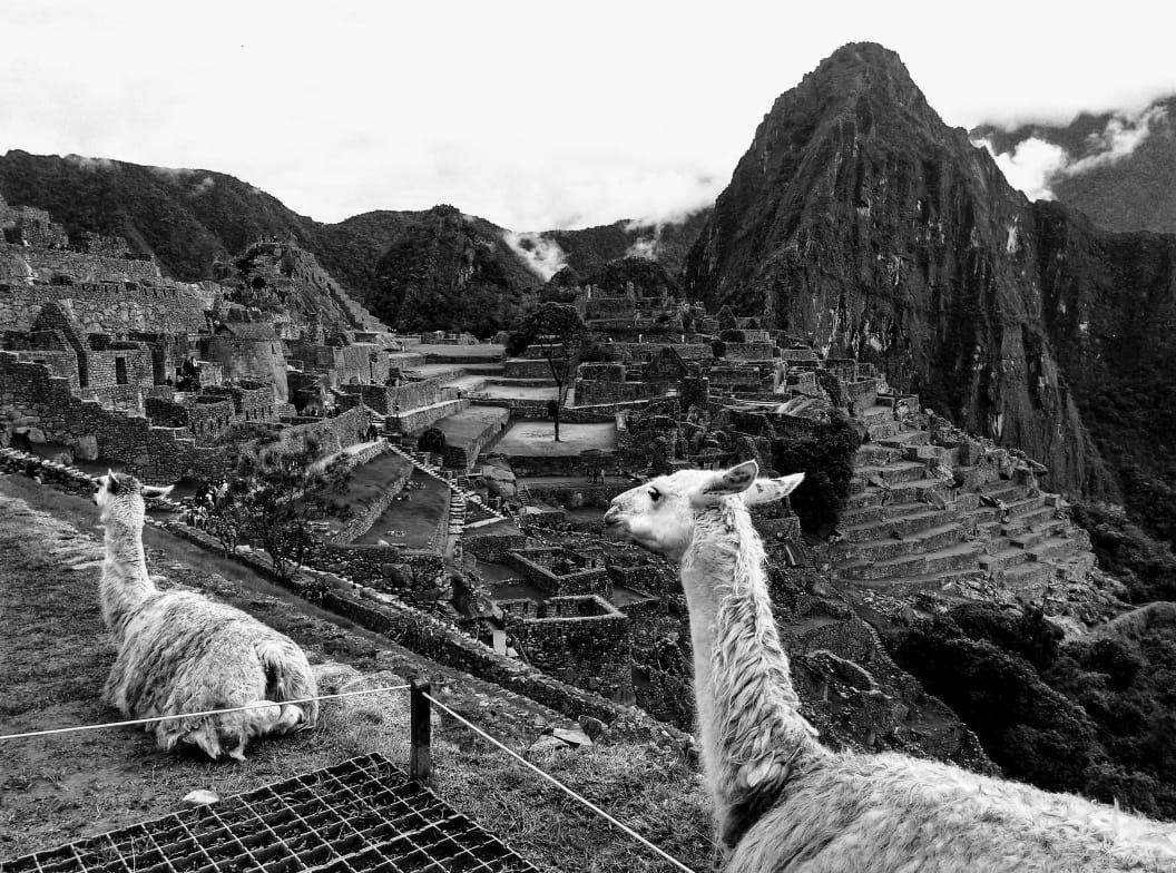 Picos House Hotel Machu Picchu Exterior photo